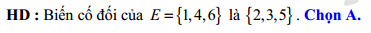 29g.png