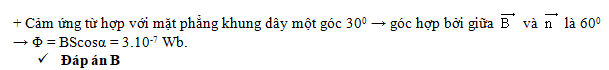 8a.png