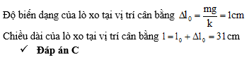 941.png