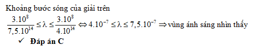 51.png