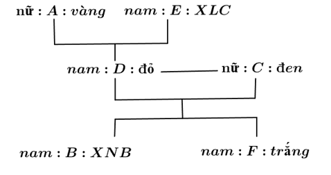 Ảnh chụp màn hình 2024-05-26 091135.png