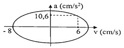 7c.jpg