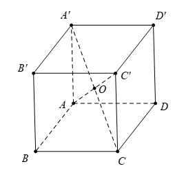hinh4-bai1vttrongkg.png