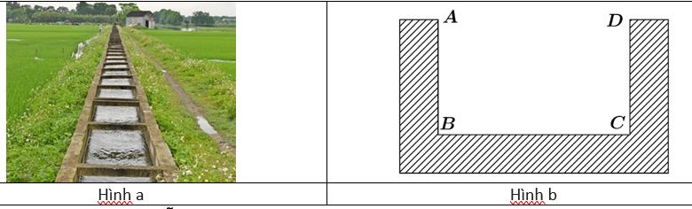 05.baithuctien05.png