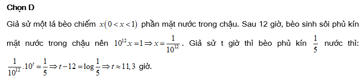 32.png