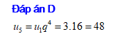 13.png