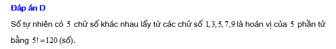 28.png