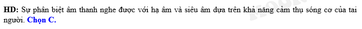 1e.png