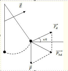 B01.251.jpg