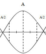 B02.50.jpg