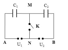 L110111.3.jpg