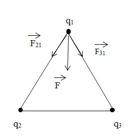 123.jpg
