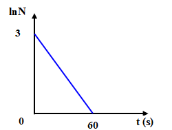 38j.png
