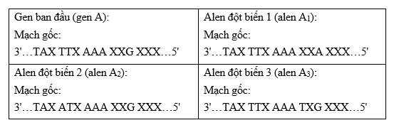 113.png