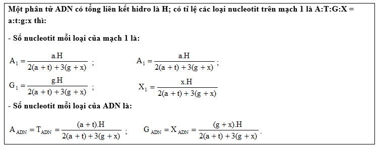 7. Tổng kết