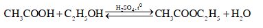 22d.png