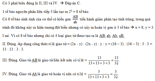 c12.png
