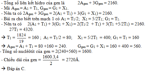 c11.1.png