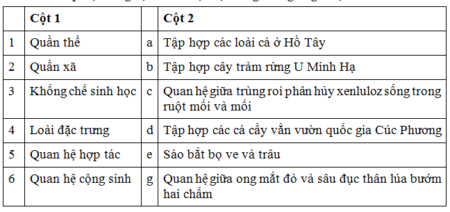 c26.png