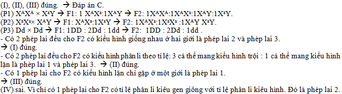 c37.1.png