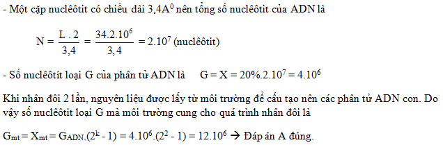 c6.1.png