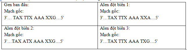 c24.png