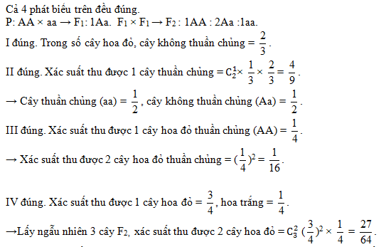 c10.1.png