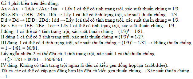 c19.1.png