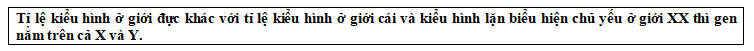 s1.png