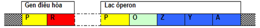 Screenshot_19.png