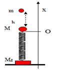 image024.gif