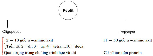 700940lg.png