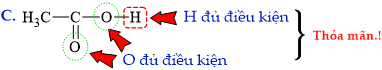 12011478-C.png
