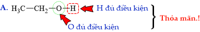 12011484-A.png