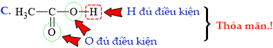 12011484-C.png