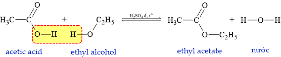 12011588-LG.png