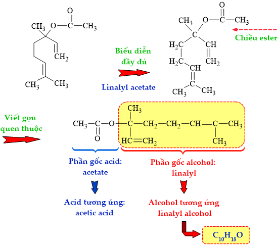 12011648-LG.png
