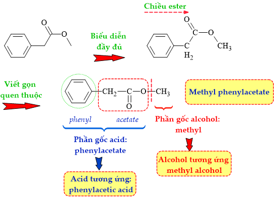 12011654-LG2.png