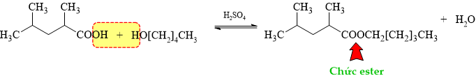12011666-DE2.png