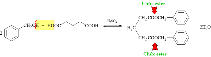 12011666-DE3.png