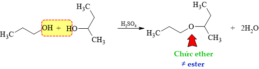 12011666-DE4.png