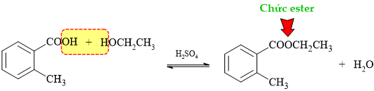 12011666-LG1.png