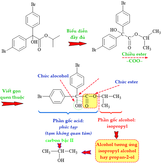 12011793-LG.png