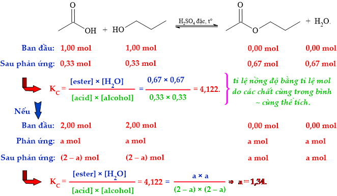 12011879-LG.png