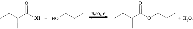 12012119-LG.png