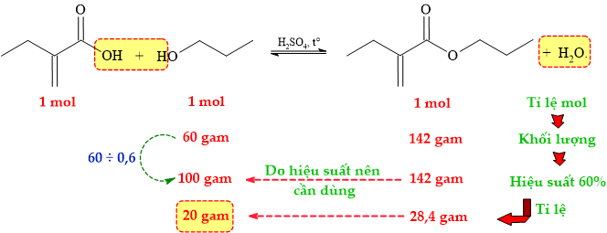12012127-LG.png
