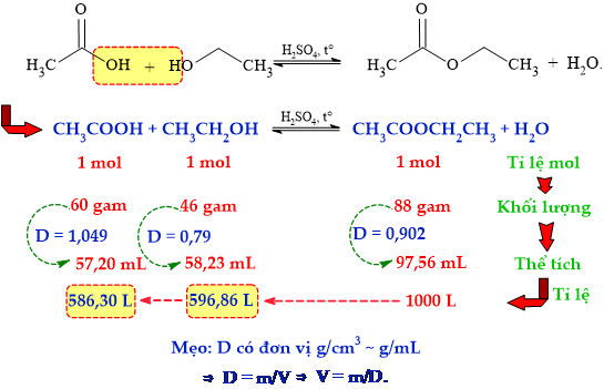 12012349-LG.png
