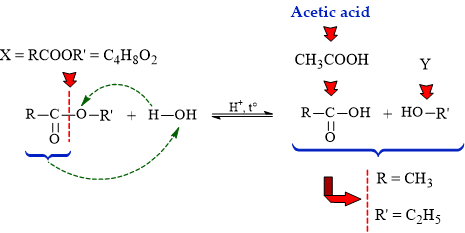 12022359-LG.png