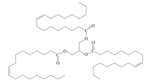 12022934-LG.png