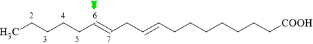 12023016-LGA.png